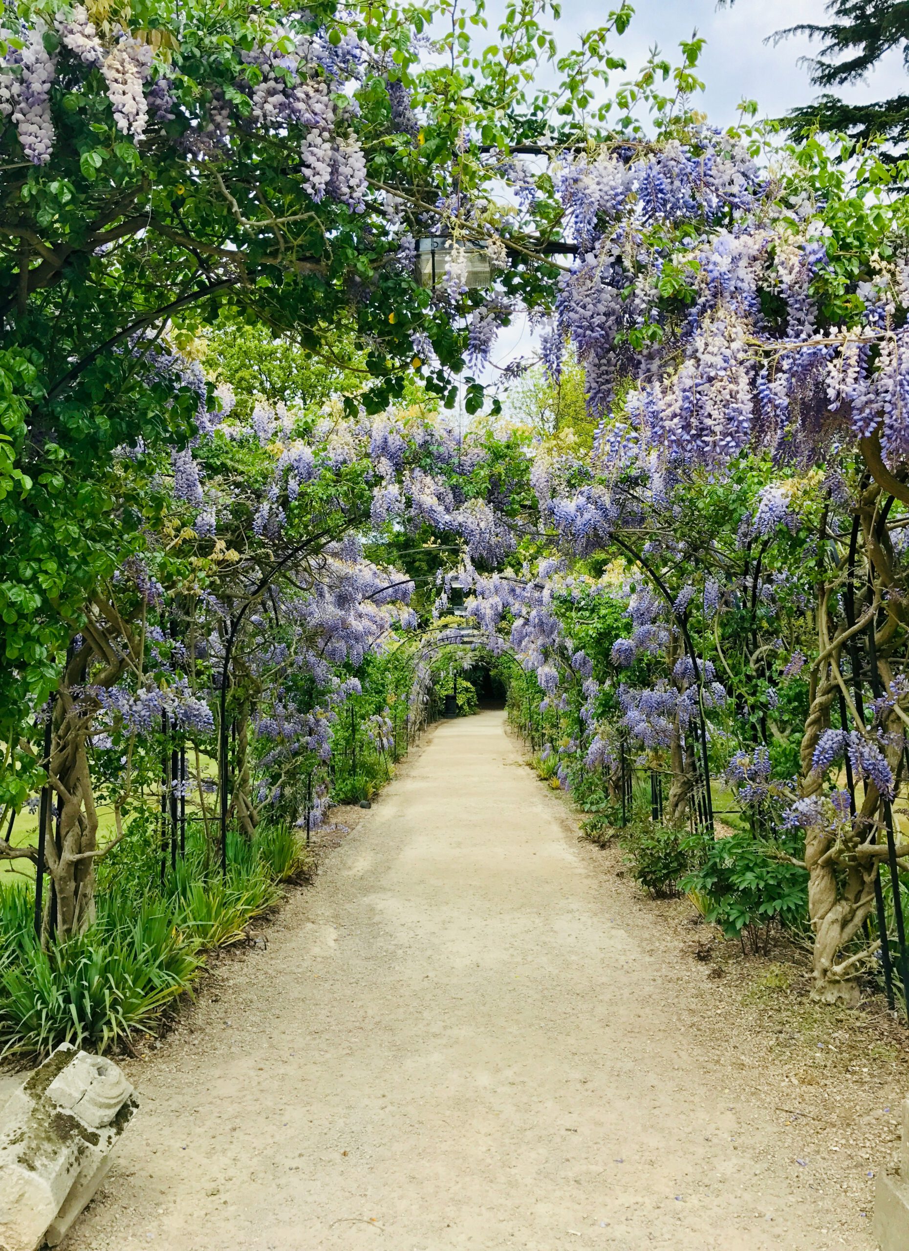Englischer Garten München